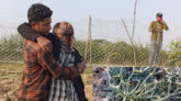 কলাপাড়ায় পাউবো উপড়ে ফেলেছে ১০ হাজার তরমুজ গাছ ॥ কৃষকের বুকফাঁটা আর্তনাদ